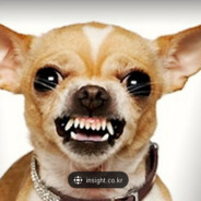 지 예아나는다채로운래핑과