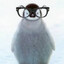 the penguin approaches