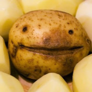 SniperNinjaShotgunDeagleNegevKaz