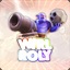 wirlroly123