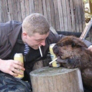 alcobober avatar