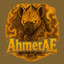AhmetAE