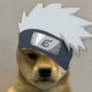 Avatar snapshot
