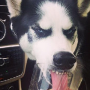 老二的舌头好灵活