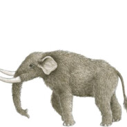 mastodont
