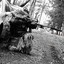WarDaddy