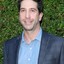 david schwimmer