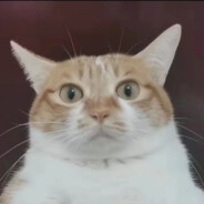 世界第一偶像TERIRI