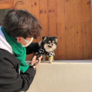 明天一定吃早饭