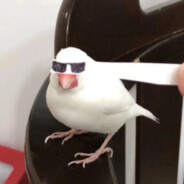 人类世界真有趣