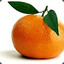 Mandarina