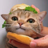 30岁想吃汉堡王