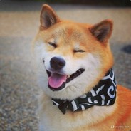 风雨不同舟我很皮.