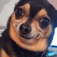 他給我探照燈A幹