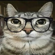 𑣲Tito 𓆩❤︎𓆪