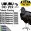 URUBU DO PIX 2