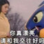 蝶