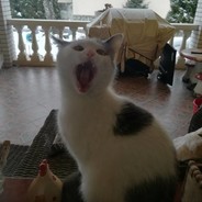 Смурфы