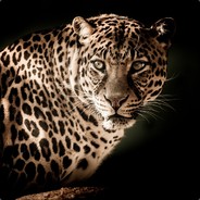 Pastorn - steam id 76561197961185973