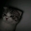 luckey