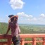 shadowkhothai