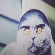 ggezclapper123123 Steam avatar