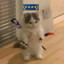 Nexoit