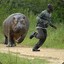 Starkopotamus