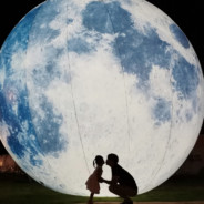 一边划水一边坑人