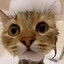 Jacky