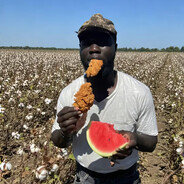 боевой тампон