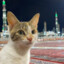 Reki | Sunnah peak