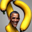 barack banana