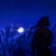 ｑｗｅｔｌｉｇｈｔ