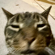 ̶K̶e̶n̶s̶h̶i̶o̶n̶...