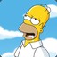 Mr. Homer S.