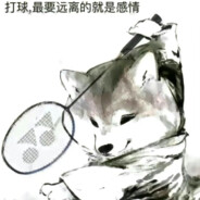 究极光辉暴龙战神XN