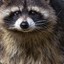 Orange_Raccoon