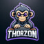 Thorzon