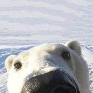 Polar