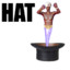 HATGENIE2013