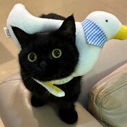 启林北易烊千玺