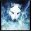 darknesswolf579