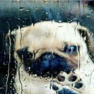 Дёня Диркин