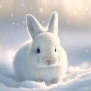 Snow Bunny