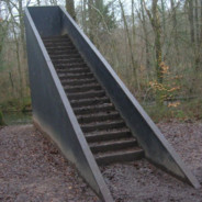 Stairs in the Woods