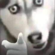 一得阁阿米诺斯