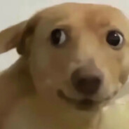 枪马的太快就像龙卷风