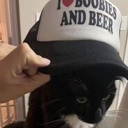 姓张的小猪蹄子