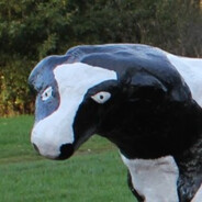 Mongcrete Cow